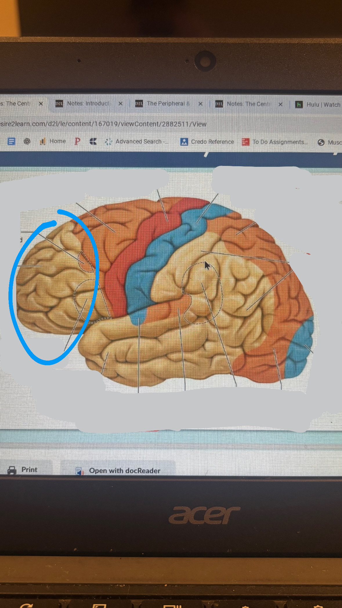 <p>planning, personality, higher cognitive function</p>