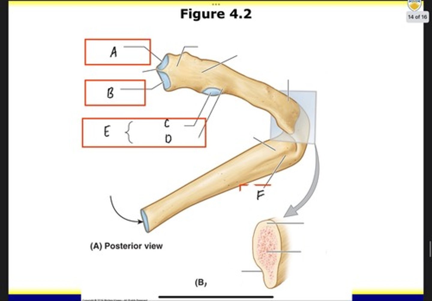 <p>What is E?</p>