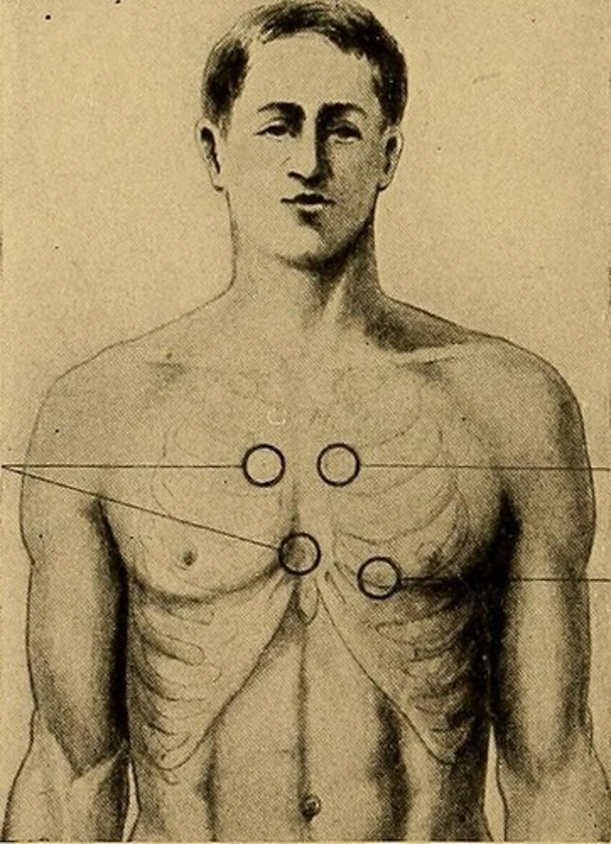 <p>At the 5th intercostal space.</p>