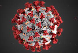the process of an idea being spread rapidly throughout the population; all places and individuals in the region are affected.

\
Coronavirus