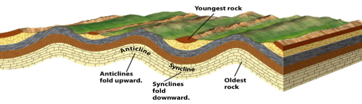 <ul><li><p>Ductile response to compression</p></li><li><p>Anticlines and Synclines, axial plane</p><ul><li><p>Imaginary plane that divides the fold as symmetrically as possible, with one limb either side of the line. </p></li><li><p>Horizontal and plunging folds</p></li><li><p>Vertical and inclined axial planes</p></li></ul></li></ul><p></p>