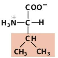 <p>Nonpolar, aliphatic</p>