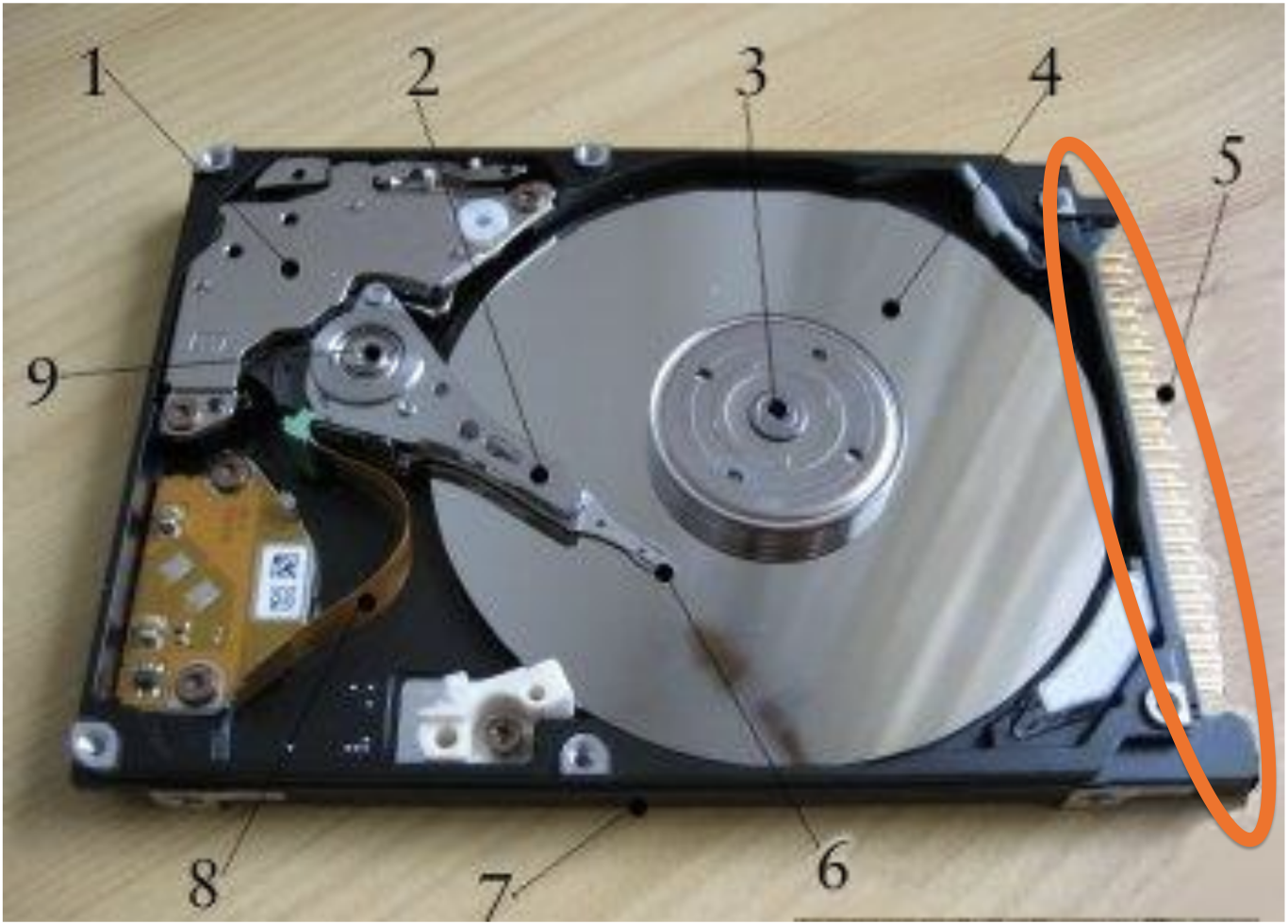 knowt flashcard image