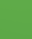 <p>green sign</p>