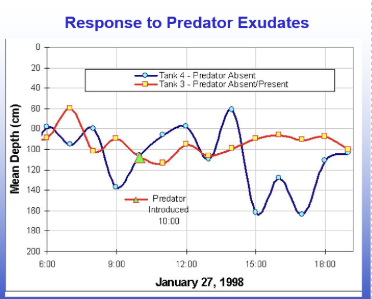 <p><span style="line-height: 20.925px;">Theres a big change in behavior once you add fish juice. Shows there's a predatory response&nbsp;&nbsp;</span></p>