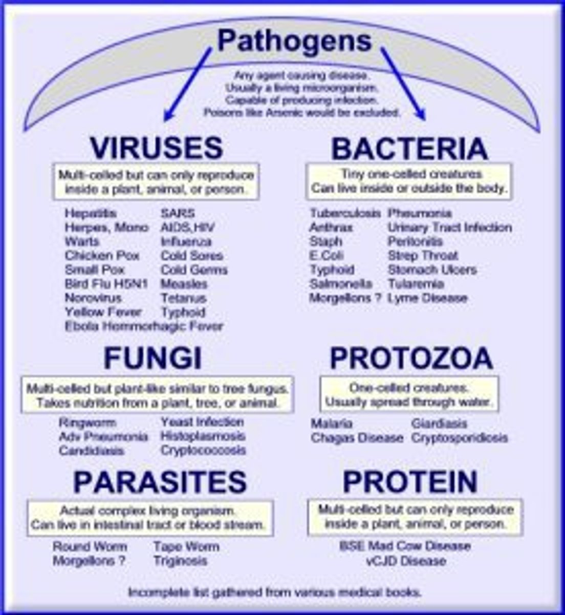 <p>Bacteria-TB or Strep.</p><p>Rickettsia-Typhus or rocky mountain spotted fever.</p><p>Viruses-HIV or influenza</p><p>Mycoses-Candida or fungal meningitis.</p><p>Protozoa-Malaria or giardia</p><p>Helminths- Lyme disease</p>