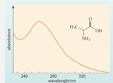 <ul><li><p><span><span>This spectra is of alanine, a fairly simple molecule but still shows broad absorption. </span></span></p></li><li><p><span><span>For our ease we can use the position of highest absorption as a reference point for measurement.</span></span></p></li><li><p><span><span>We refer to this as lambda max (λ</span><sup><span>max</span></sup><span>). – use when measuring a compound</span></span></p></li><li><p><span><span>Here this would be 262 nm.</span></span></p></li><li><p><span><span>By using λ</span><sup><span>max </span></sup><span>we have a starting point to detect our compound.</span></span></p></li><li><p><span><span>Therefore, if we use a spectrophotometer to measure absorption at 262 nm we could detect the presence of alanine in a solution. <br></span></span></p></li></ul><p></p>