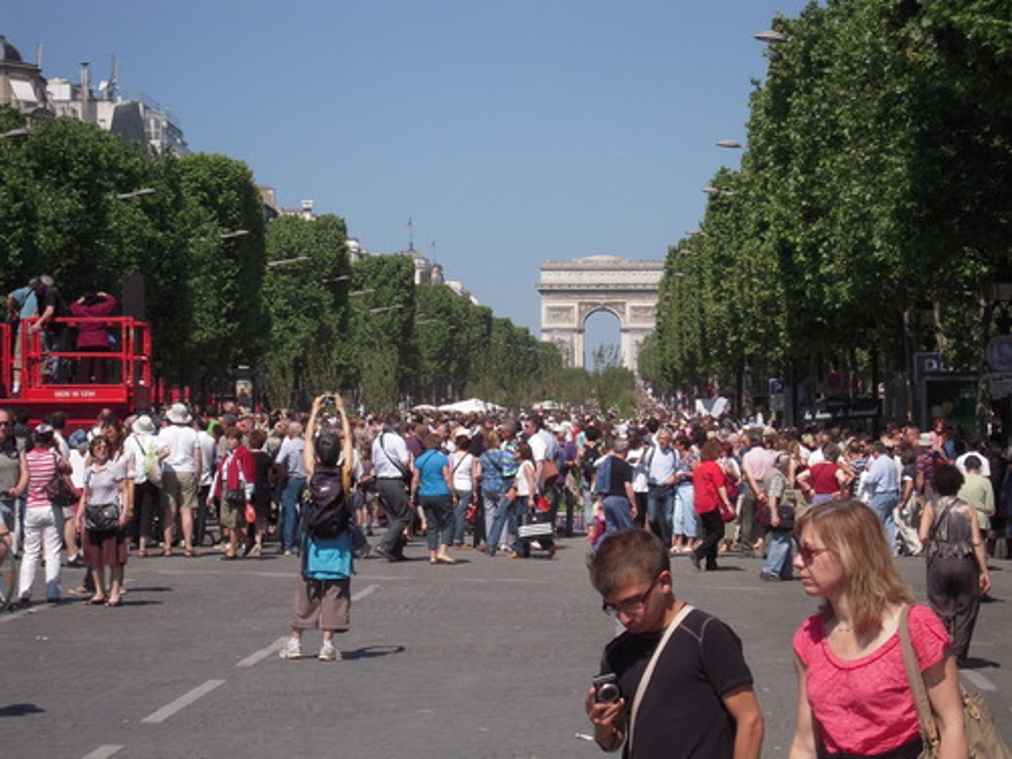 <p>an avenue</p>