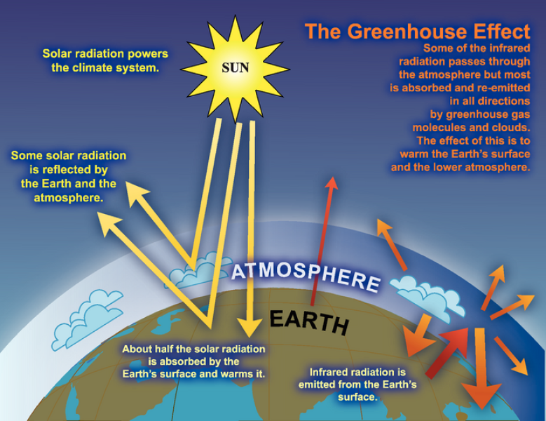 <p>State the steps of the Greenhouse Effect</p>