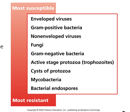 <p>Some<strong> types of microbes are more susceptible than others</strong> to antiseptics and disinfectants </p><ul><li><p><strong><mark data-color="#feffbd" style="background-color: #feffbd; color: inherit">Bacteria endospores</mark></strong><mark data-color="#feffbd" style="background-color: #feffbd; color: inherit"> vs. </mark><strong><mark data-color="#feffbd" style="background-color: #feffbd; color: inherit">Nonenveloped viruses </mark></strong></p><p>Witch would be more easier to kill? -<em> nonenveloped</em></p></li><li><p>Which will be the hardest to sterilize kill and removing all the microorganism - <em>endospore</em></p><p></p></li></ul><p></p>