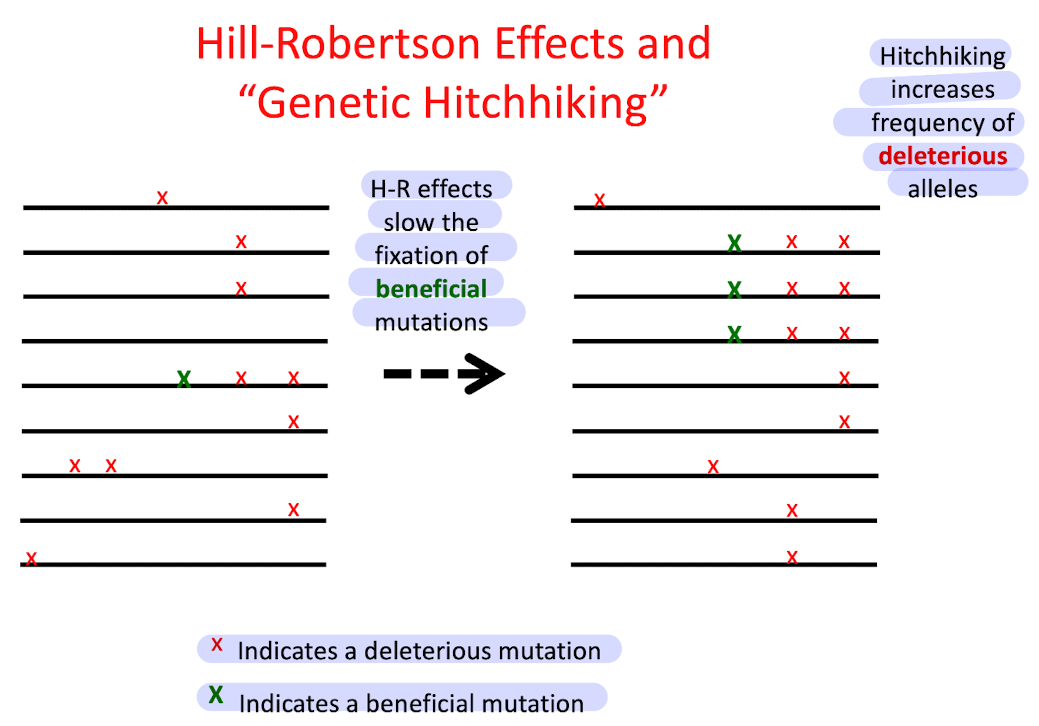 <p>Refer to the figure </p>
