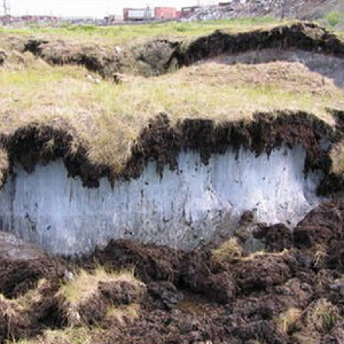 <p>An impermeable, permanently frozen layer of soil</p>