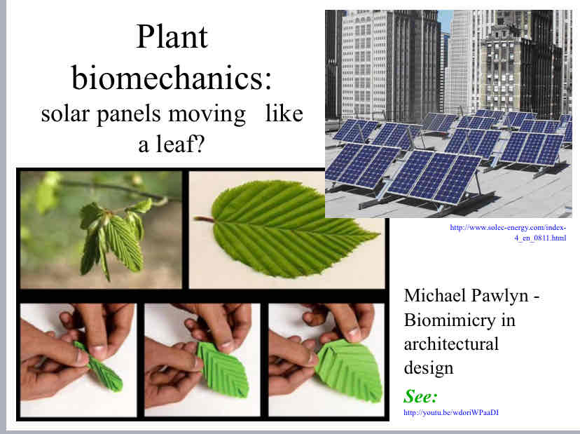 <p>Plant Biomimicry - Solar Panels</p>