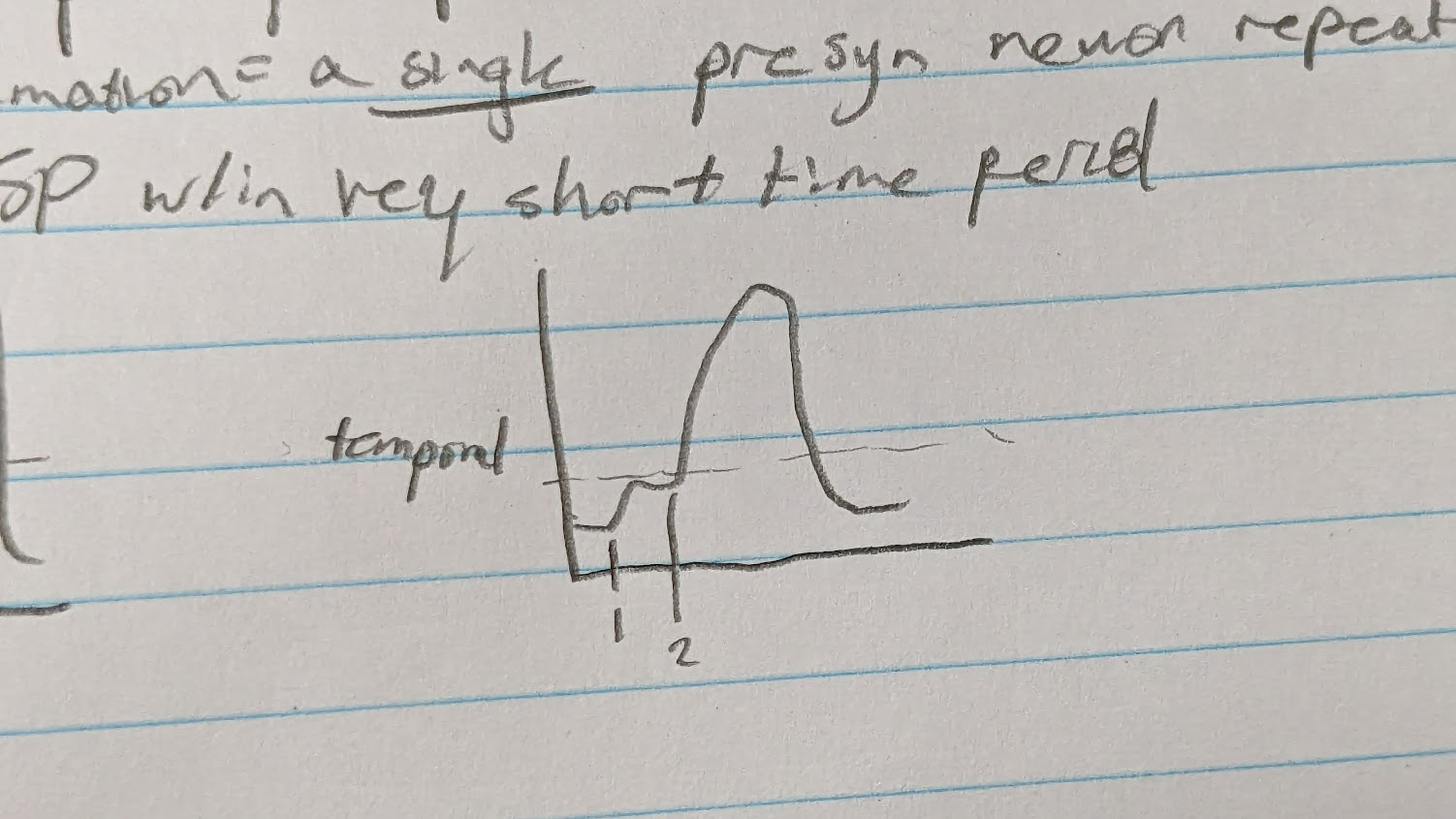 <p><u>single</u> presynaptic neuron fires repeatedly and makes multiple EPSP in a very short time period</p><p>→ they combine to reach threshold</p><p>-if reach threshold will activate AP</p>