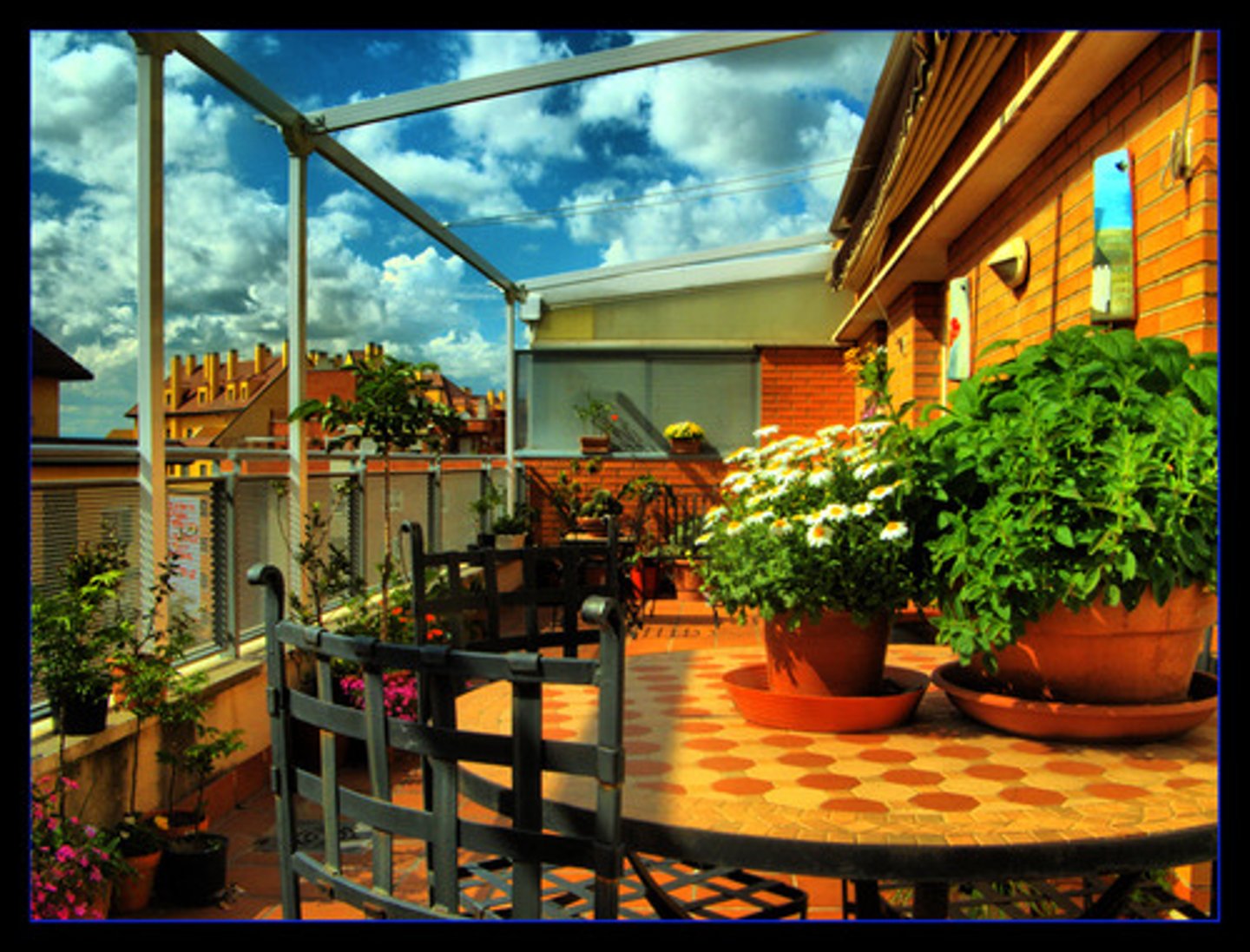 <p>La zona boscosa fuera de la casa, donde se encuentran las sillas y las mesas.</p>