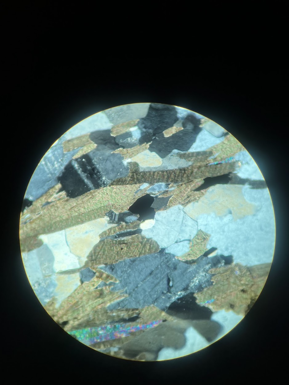 term image