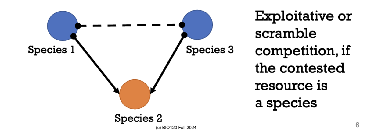 <p>When species A affects the influence species B has on species C. Therefore, species A is indirectly affecting species C. </p>