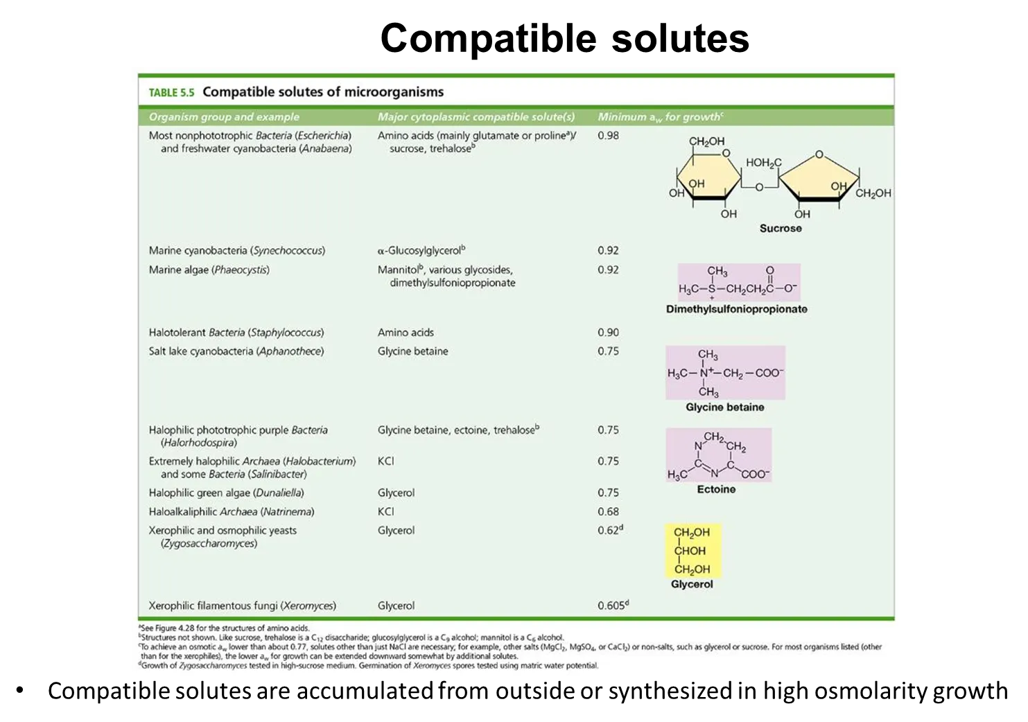 <ul><li><p><strong>compatible solutes</strong> such as sugars, alcohols and amino acid derivatives, <strong>increase in concentration </strong>in the cell when in <strong>high osmolarity environments</strong> (low water potential), either by being pumped into the cell or synthesised</p></li><li><p>these are <strong>compatible </strong>with the cell’s biochemistry because they don’t mess with cell processes when in high concentrations, like other solutes eg. sodium </p></li><li><p>this prevents the cell from becoming <strong>dehydrated</strong>, because water will flow into the cell (<strong>positive water balance</strong>)</p></li></ul><p></p>
