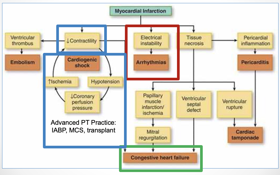 <ul><li><p>arrhythmias </p></li><li><p>heart failure </p></li><li><p>cardiogenic shock </p></li></ul><p></p>