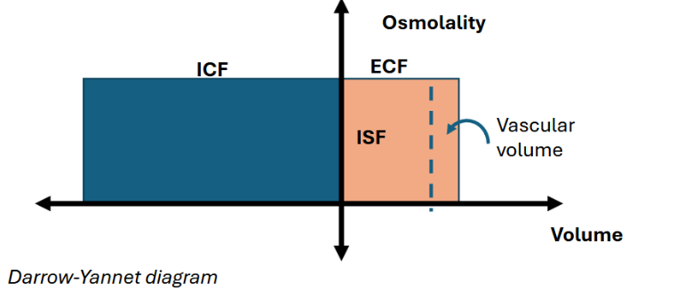 <p><span><strong><em><u>Darrow-Yannet Diagram:</u></em></strong>&nbsp;Visualizes fluid shifts and osmolality changes in clinical conditions</span></p>