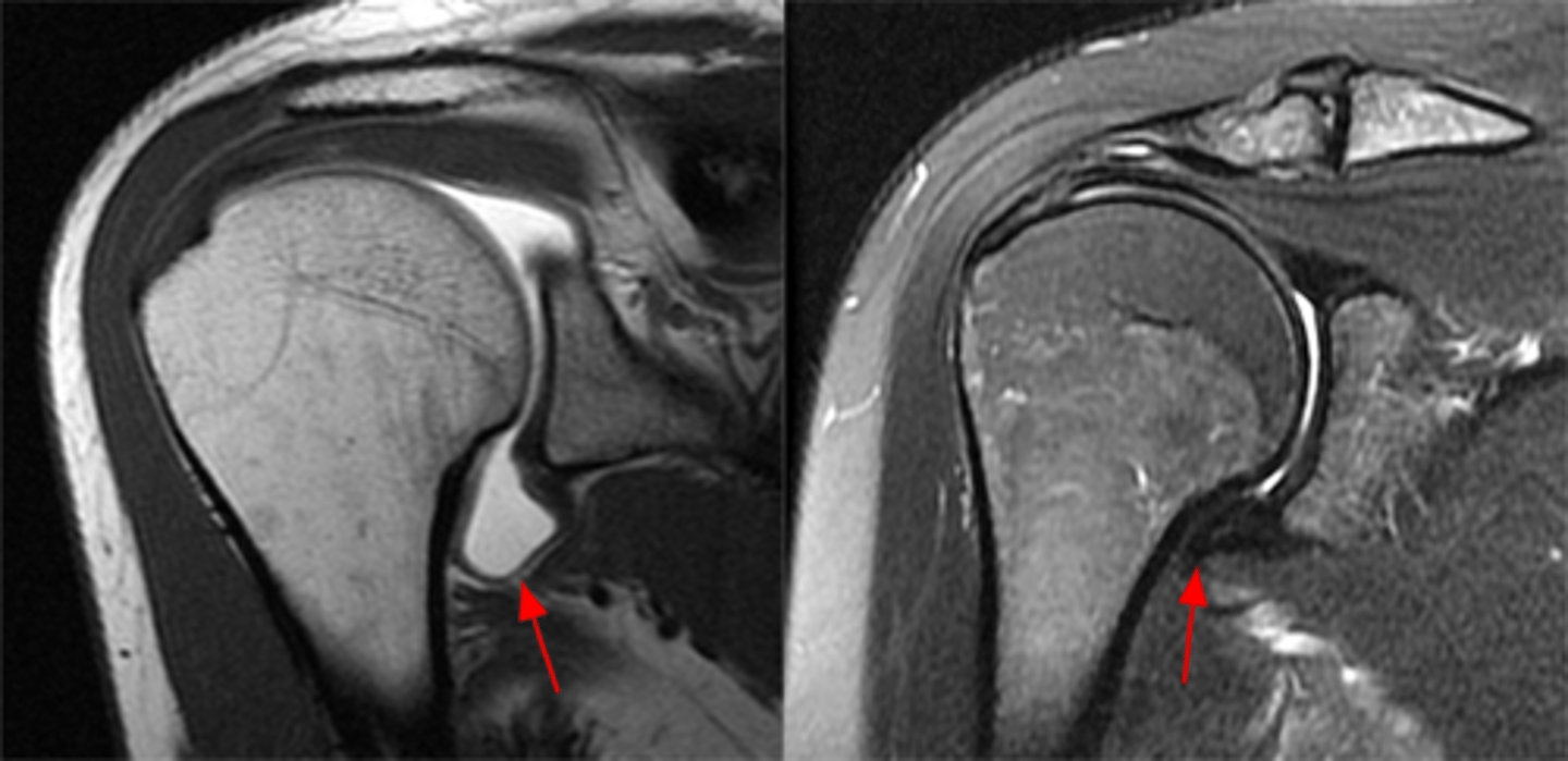 <p>What is this image depicting?</p>