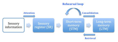 <p>the multi-store model </p>
