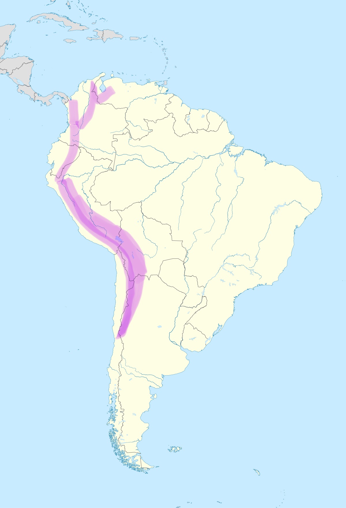 <p></p>