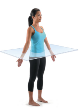 <p>horizontal plane that divides the body into superior and inferior parts</p>