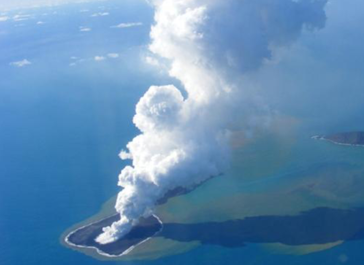 <p><strong>End Triassic</strong></p>