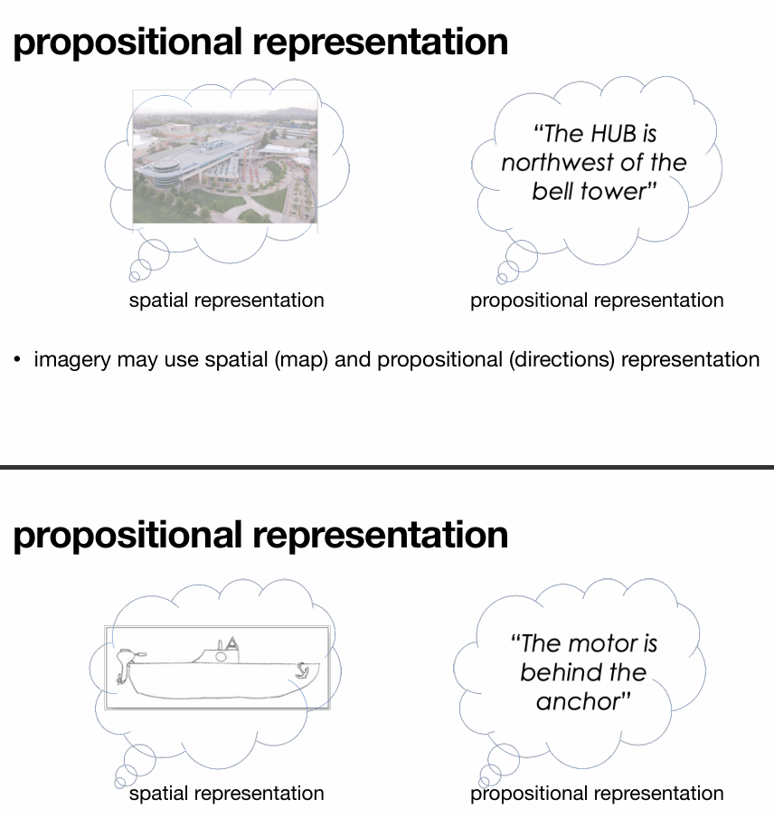 <p>linguistic aspect compared to spatial</p><p>• imagery may use spatial (map) and propositional (directions) representation</p>