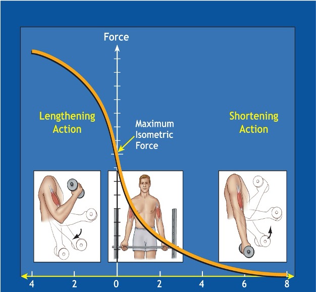 <p>What relationship is depicted by this?</p>