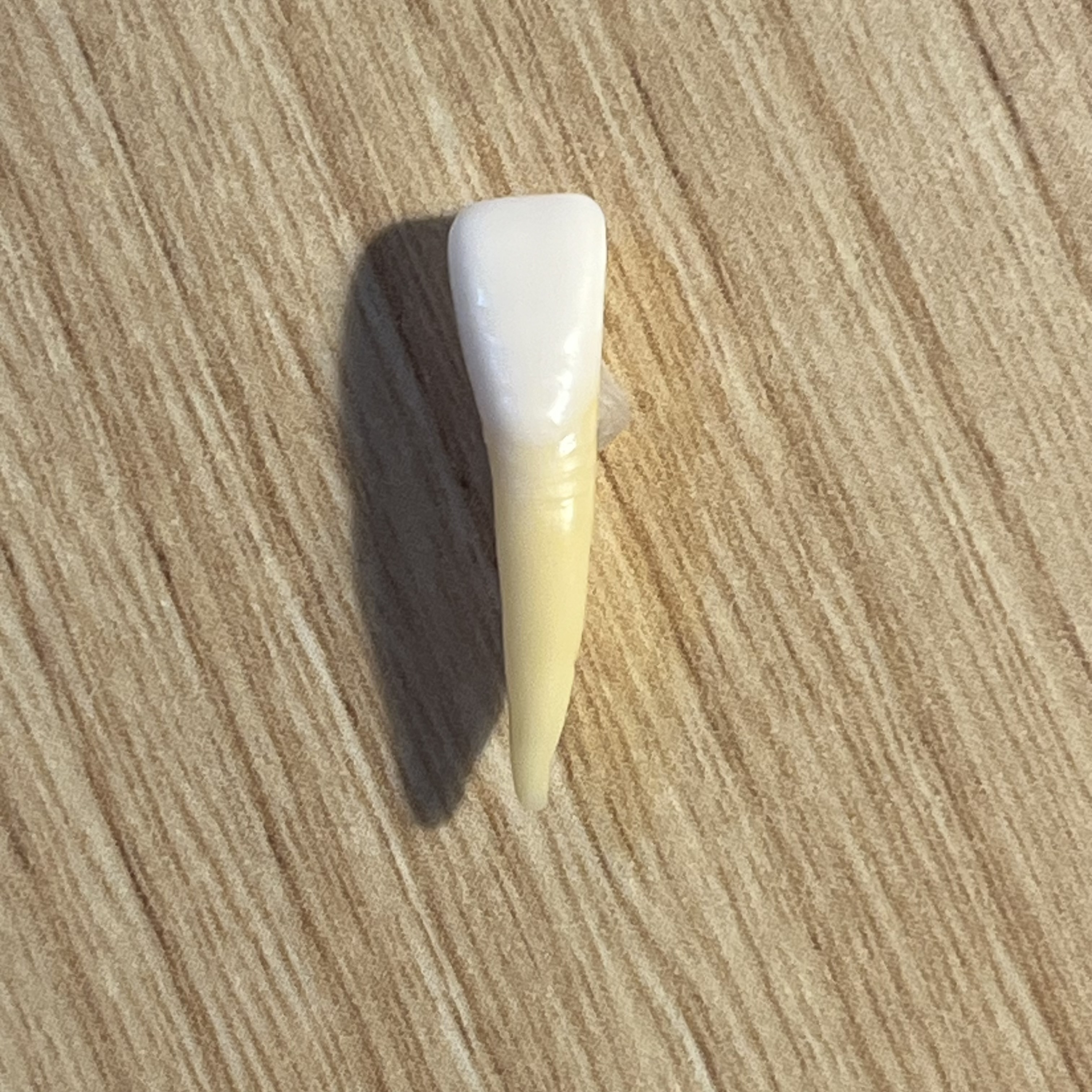 <p>What tooth is this (with view)?</p>