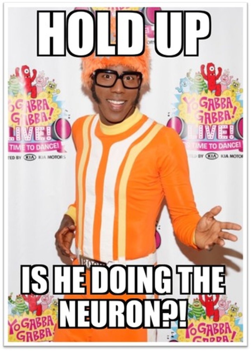 <p>• Neurotransmitter</p><p>• The major inhibitor</p><p>• Helps you to relax, helps you to learn, helps your memory, and helps you sleep</p><p>Not enough of this would cause you to worry and have anxiety</p>