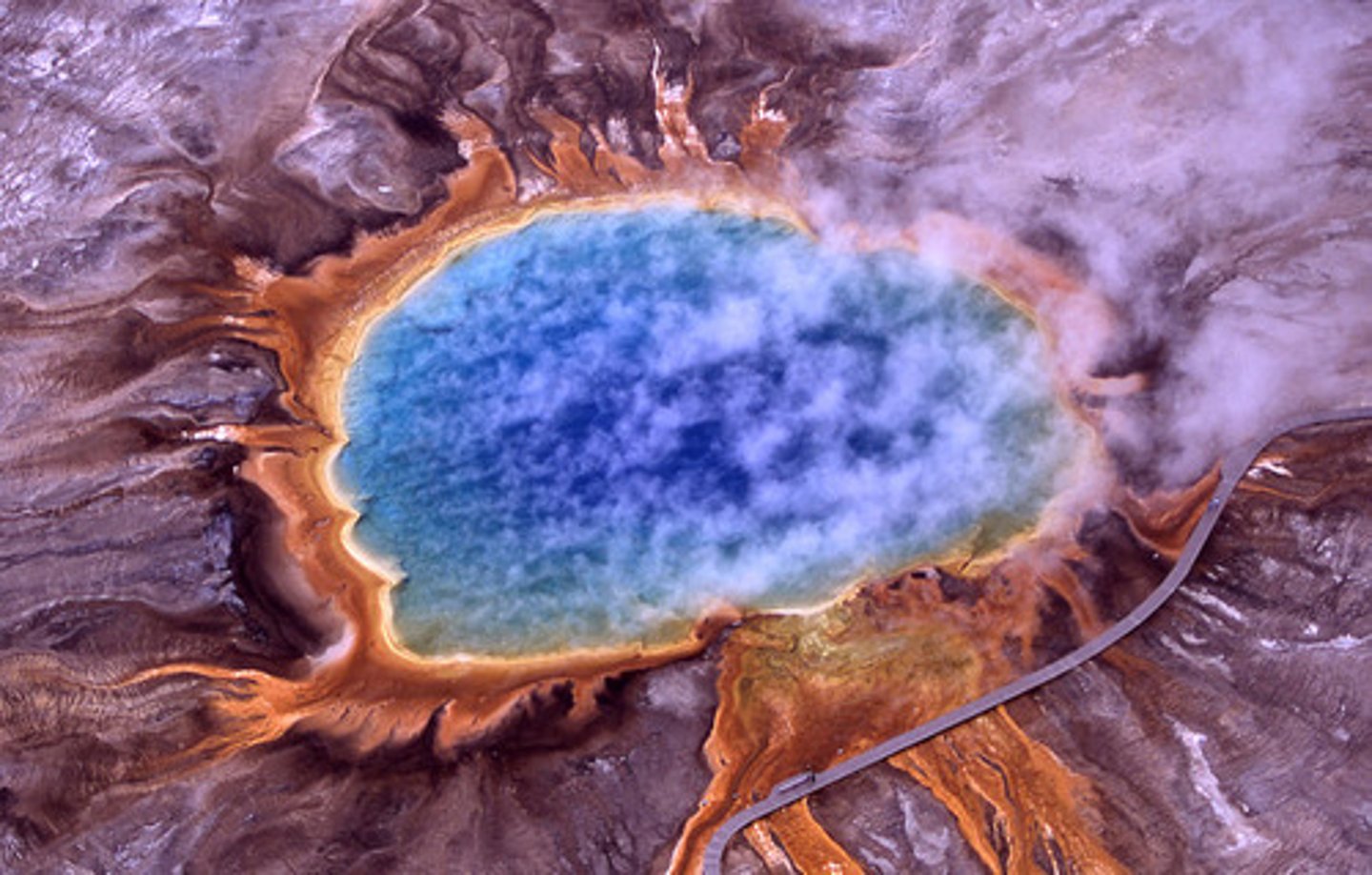 <p>What are some signs to determine the presence of bacteria/archaea?</p>