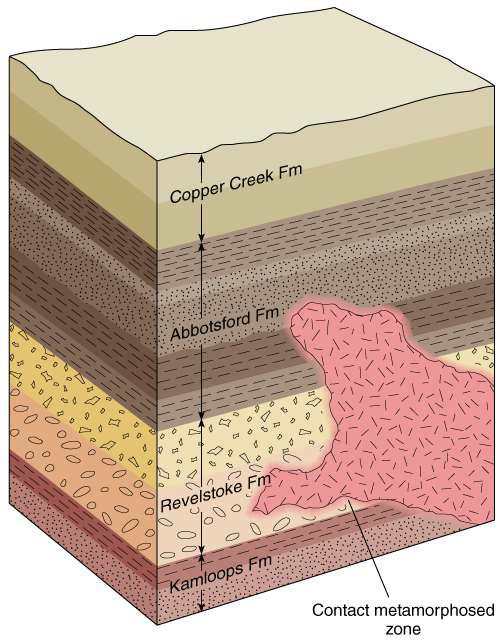 <ul><li><p>granite plutons are common in orogenic zones and magmatic arcs</p></li><li><p>granite plutons indicate that the rock formation was in these tectonic situations </p></li></ul><p></p>