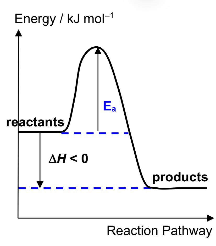 <ul><li><p>temperature of surroundings <strong>increases</strong> in the process</p></li><li><p><em>H</em>pdts &lt; <em>H</em>rxts  <em>H</em> &lt; 0 (–ve)</p></li><li><p>products are thermally <strong>more stable</strong> than reactants.</p></li></ul>