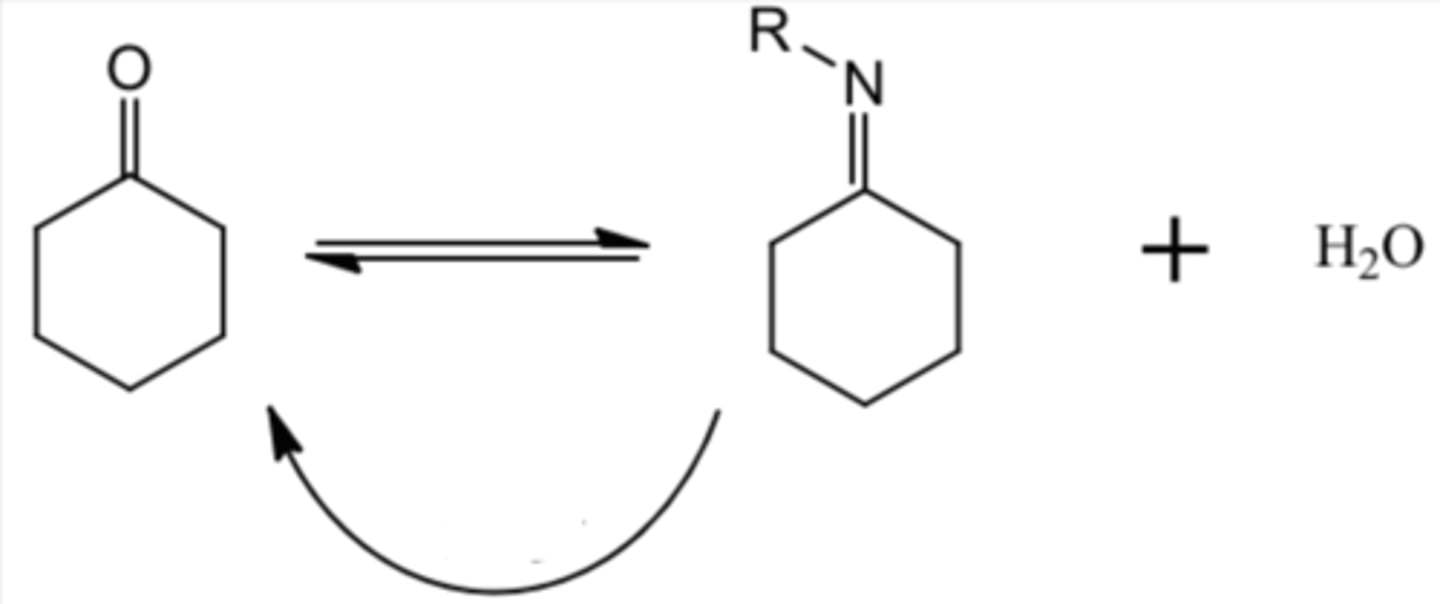 <p>makes imine via 1º amine </p><p>H<sub>3</sub>O<sup>+</sup> is used to reverse</p>