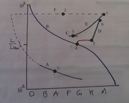 <p>What is the name of the evolutionary stage indicated by the letter A?</p>