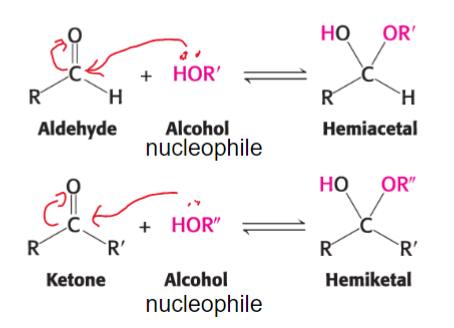 <p>an aldehyde can react with an alcohol to form a hemiacetal, whereas a ketone can react with an alcohol to form a hemiketal</p>