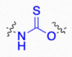 <p>which antifungal is this structure?</p>
