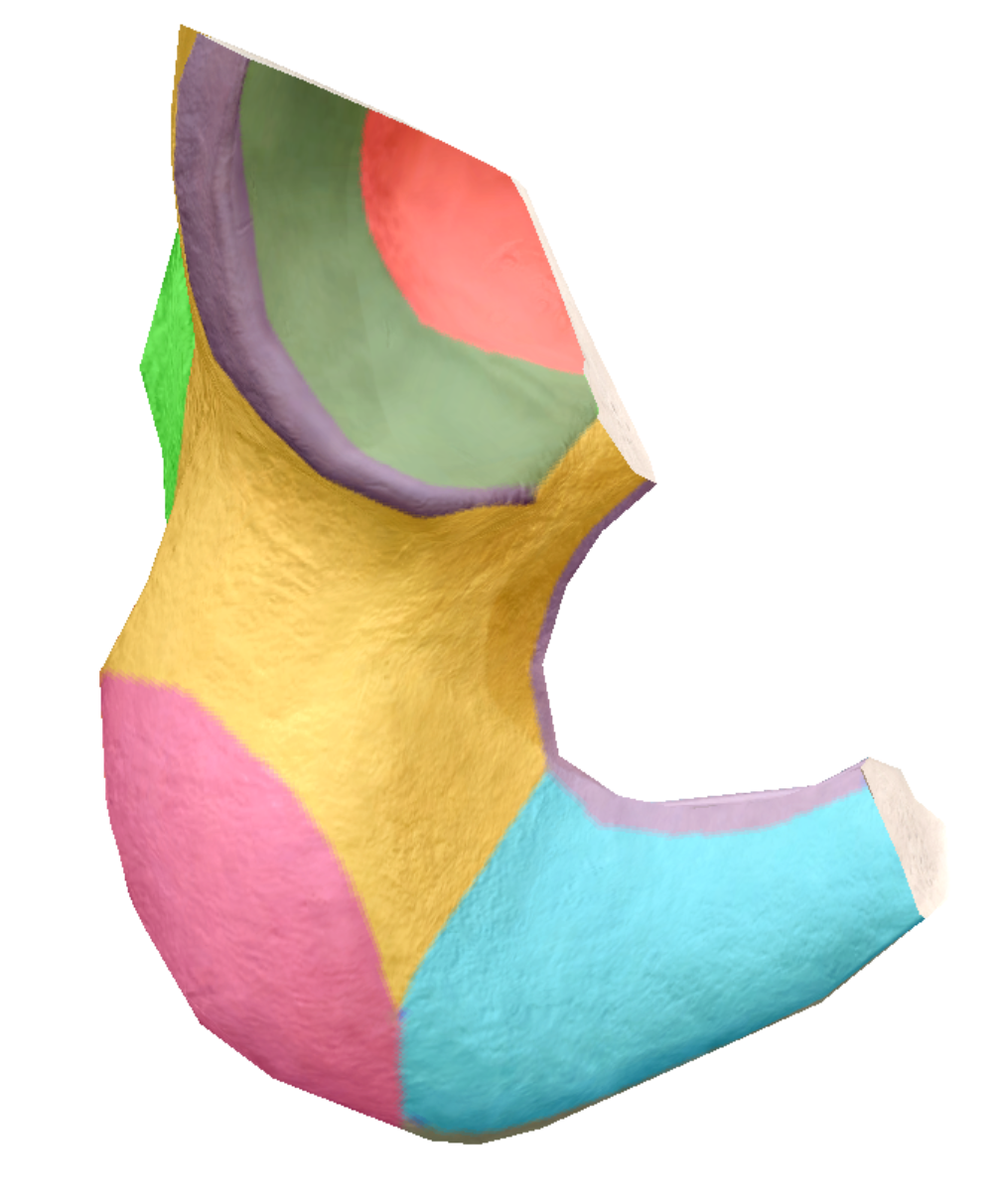 term image