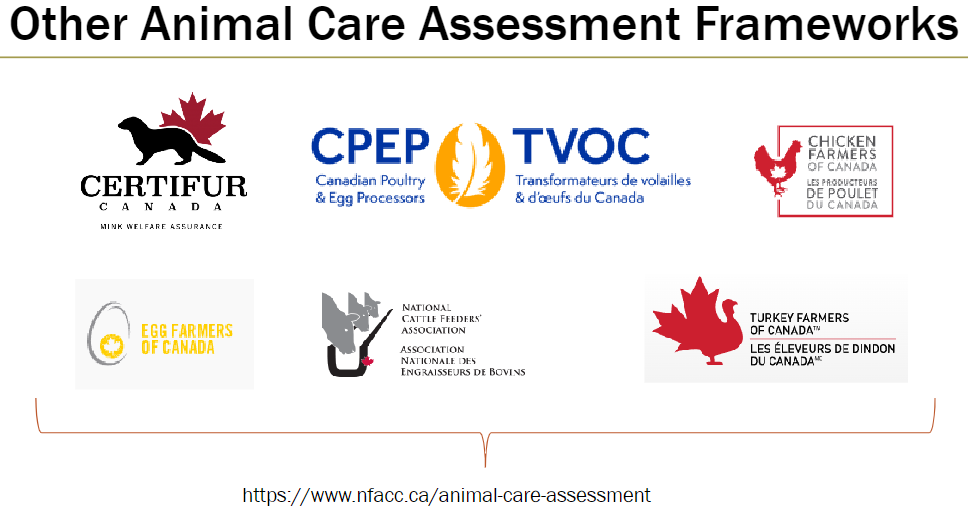 <p><strong>Purpose</strong><br> Provide species-specific animal care standards and assessment programs</p><p><strong>Examples of Frameworks</strong><br> CERTIFUR CANADA – Mink Welfare Assurance<br> Egg Farmers of Canada – CPEP (Canadian Poultry &amp; Egg Processors)<br> TVOC (Transformateurs de volailles &amp; d'œufs du Canada)<br> National Cattle Feeders Association – Association Nationale des Engraisseurs de Bovins<br> Chicken Farmers of Canada – Les Producteurs de Poulet du Canada<br> Turkey Farmers of Canada – Les Éleveurs de Dindon du Canada</p>