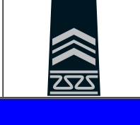 <p>Identify the Cadet Rank and Class Year</p>