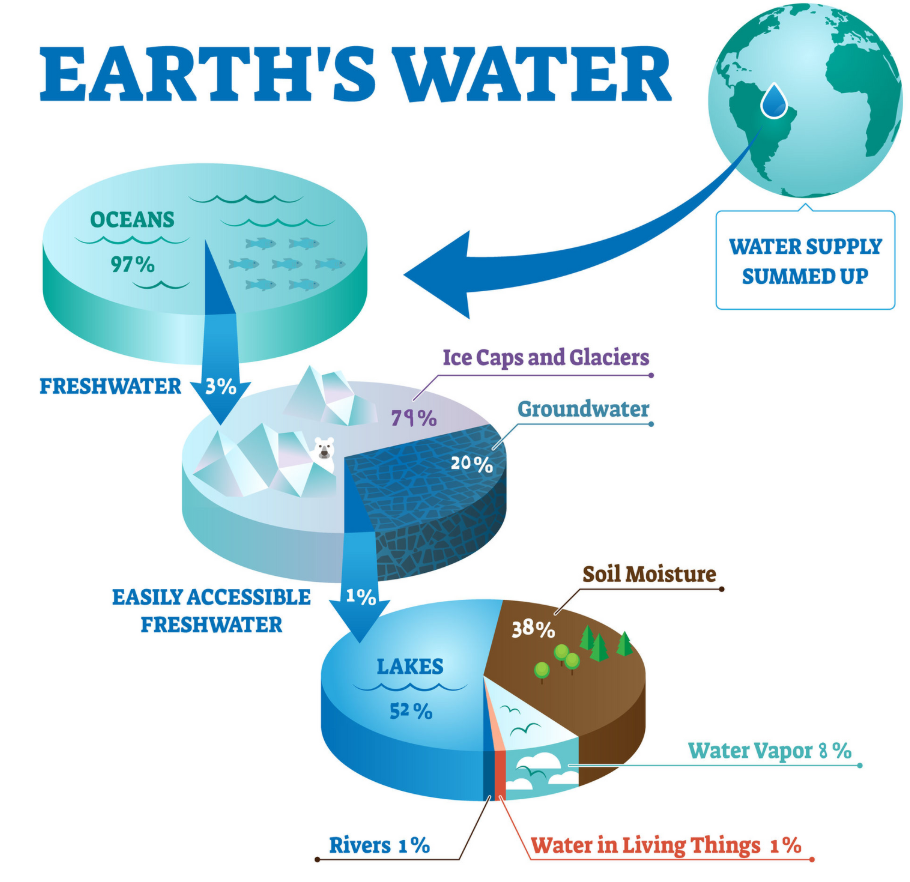 <ul><li><p class="ds-markdown-paragraph"><strong>Earth’s Water: </strong>oceans 97%, freshwater 3%</p></li><li><p class="ds-markdown-paragraph"><strong>Freshwater: </strong>ice caps+ glaciers 79%, 20% groundwater, easily accessible freshwater 1% </p></li><li><p class="ds-markdown-paragraph"><strong>Easily Accessible Freshwater: </strong>lakes 52%, 38% soil moisture, water vapour 8%, rivers 1%, water in living things 1%</p></li></ul><p></p>