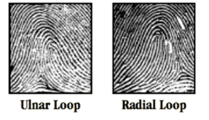 <p>Loop Patterns</p>