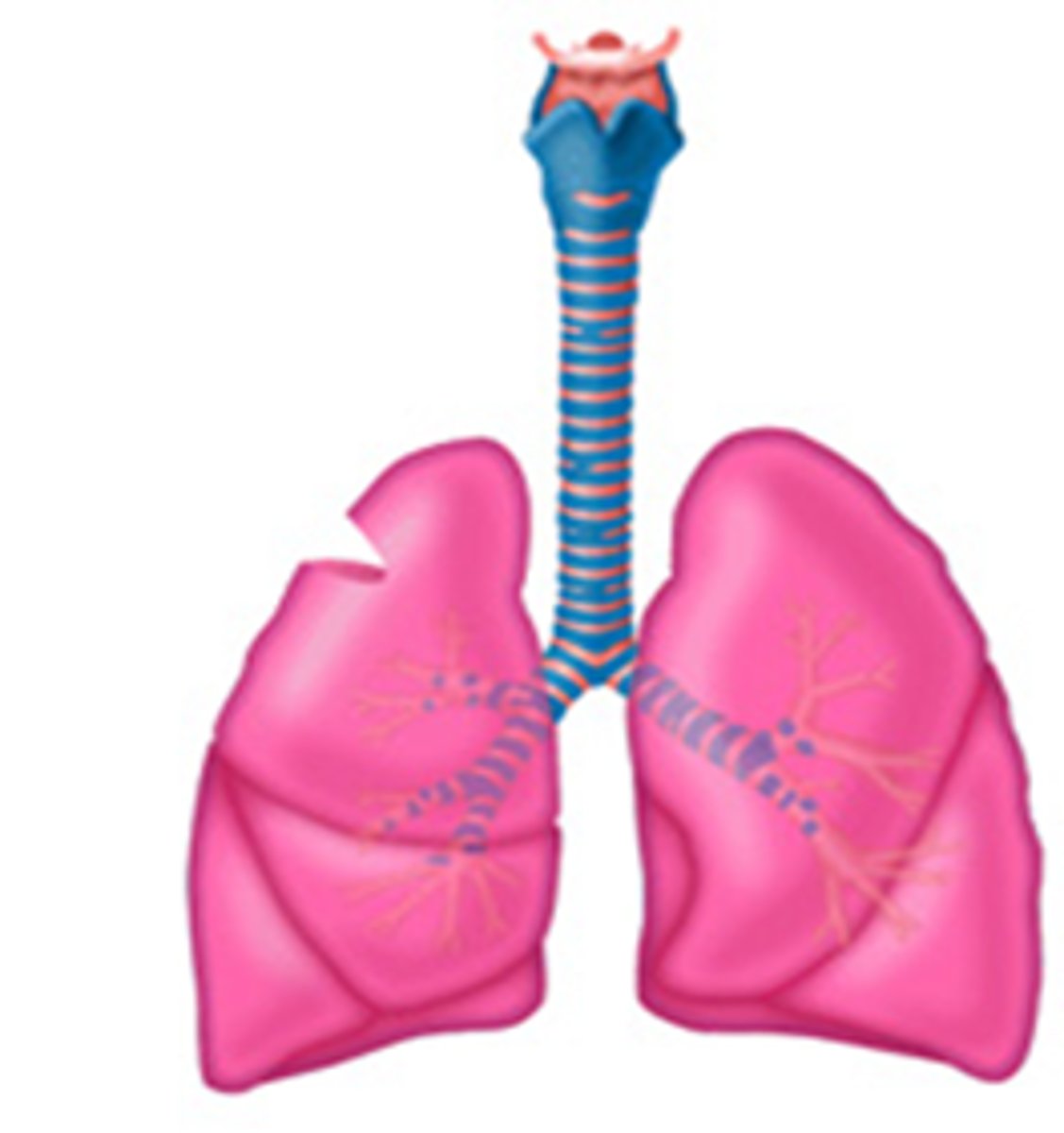 <p>usually for diagnosis, not treatment</p>
