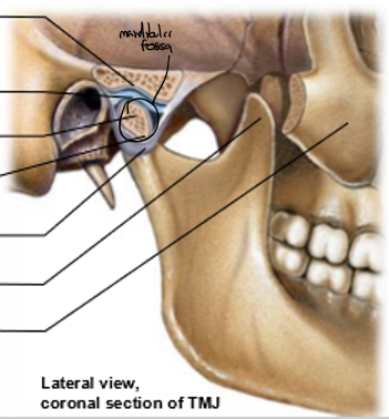 <p>Top to bottom</p>