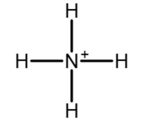 <p>NH4+</p>