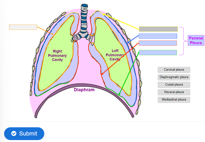 <p>label the diagram</p>