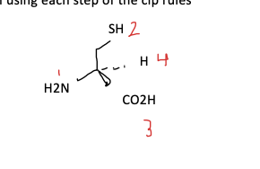 <ul><li><p>all aa are S apart from cysteine&nbsp;</p></li><li><p>Cysteine - R&nbsp; because of the sulphur substituent&nbsp;</p></li></ul><p></p>